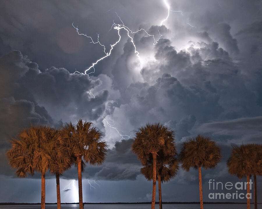 Palms and Lightning Photograph by Stephen Whalen