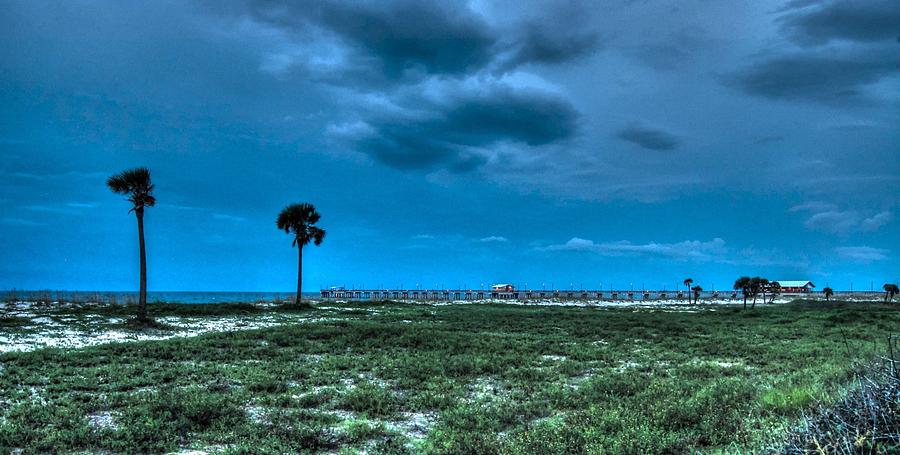 Palms and the Gulf Shore Pier Digital Art by Michael Thomas