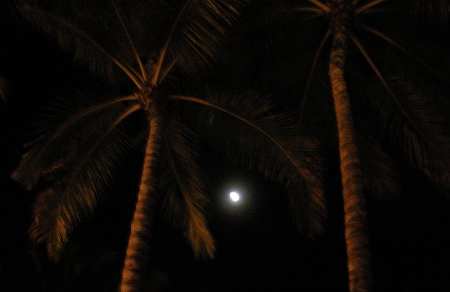 Moon Photograph - Palms I by Robert Reese