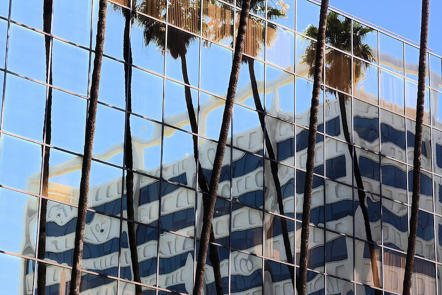 Palms in Windows Photograph by Viktor Savchenko
