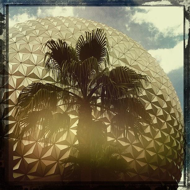 Dreampop Photograph - #palmtree Over #spaceshipearth & #sky by James Roberts