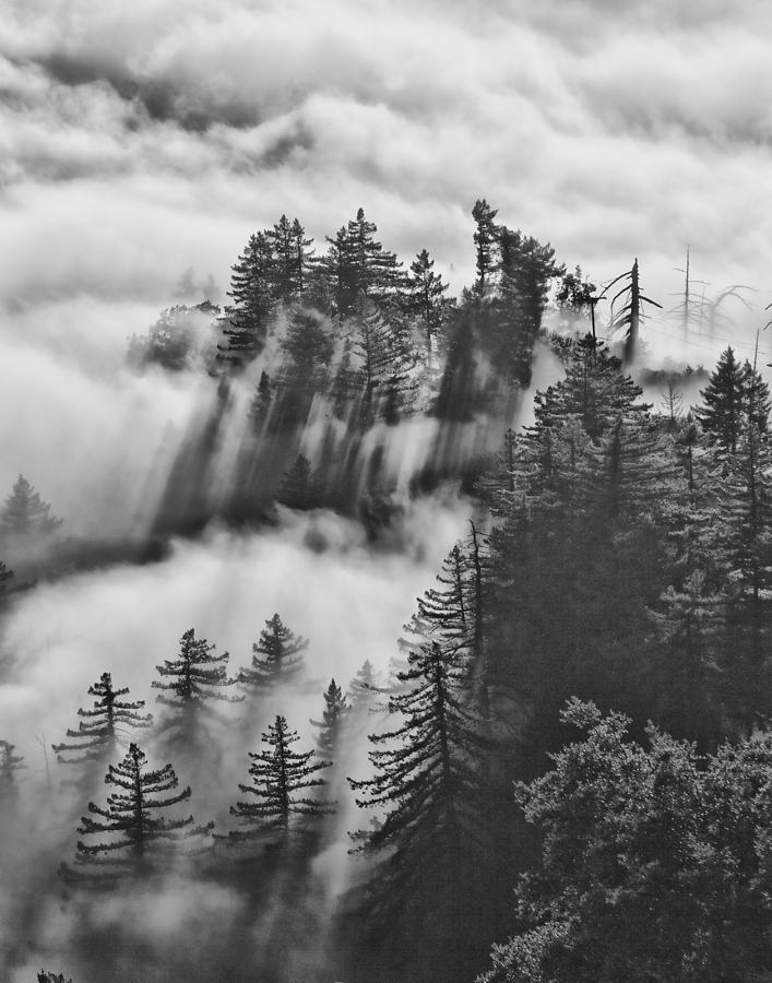 Palomar Mountain Photograph by Hugh Smith