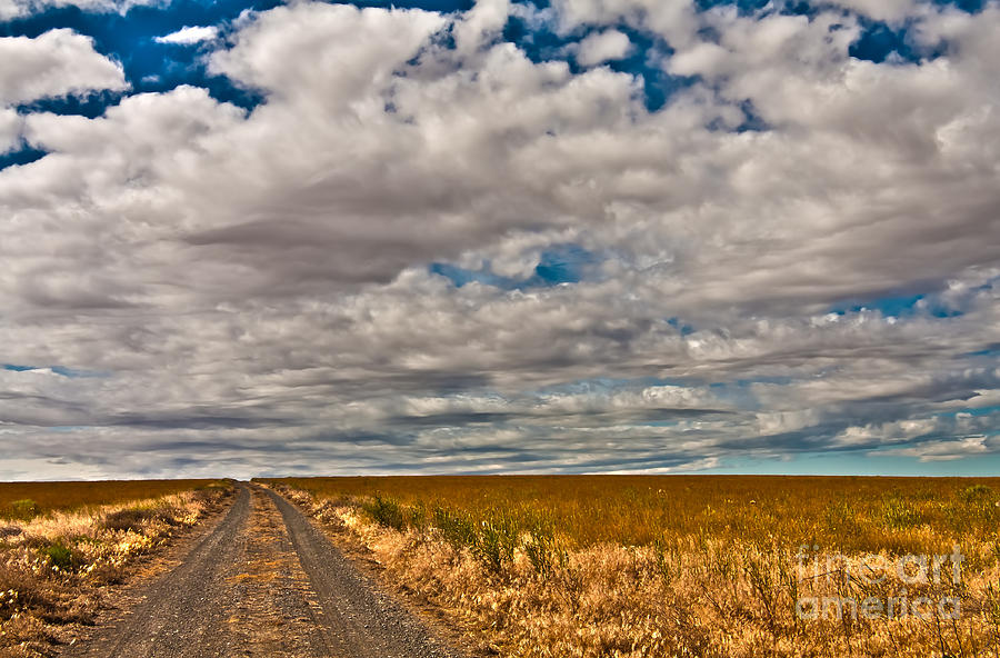 Landscape Photograph - Palouse road to the back of the beyond by Jon Mack