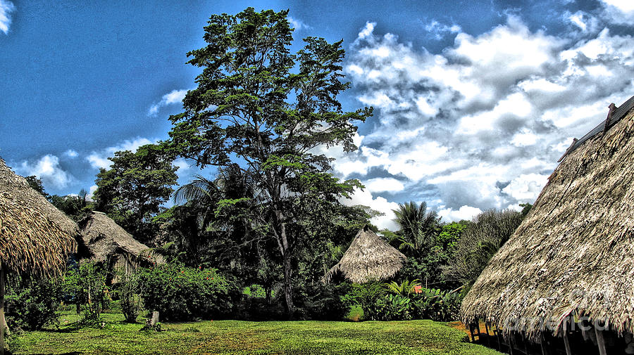 Panama Indian Village Photograph by Phyllis Kaltenbach