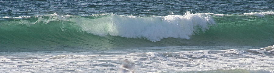 Panaromic Wave Number 1 Photograph by Jeremy McKay