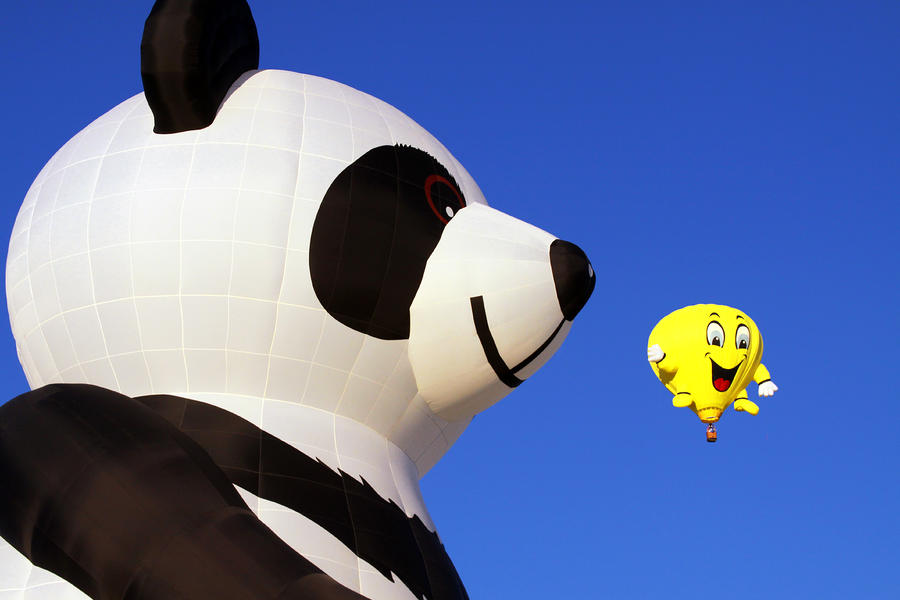 Panda Balloon Photograph by Joe Myeress