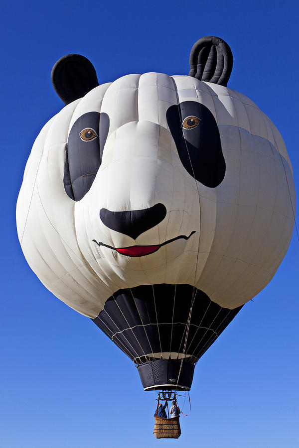 Panda Bear Hot Air Balloon Photograph by Garry Gay