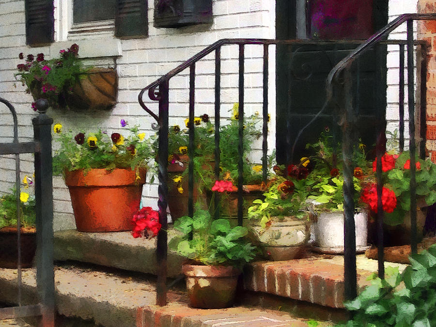 Flower Photograph - Pansies and Geraniums on Stoop by Susan Savad