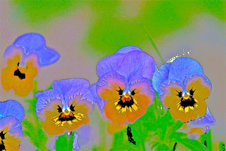 Pansy 7 Photograph by Pamela Cooper
