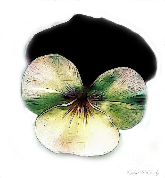Pansy in Abstract Photograph by Kathie McCurdy