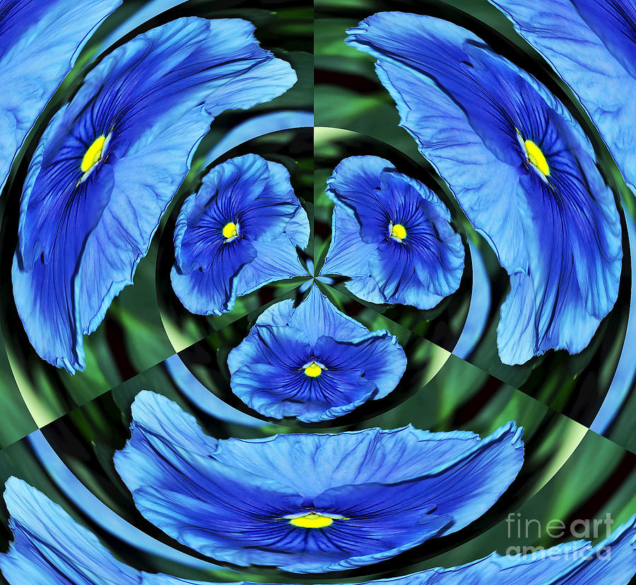 Flower Photograph - Pansy in Triplicate by Kaye Menner