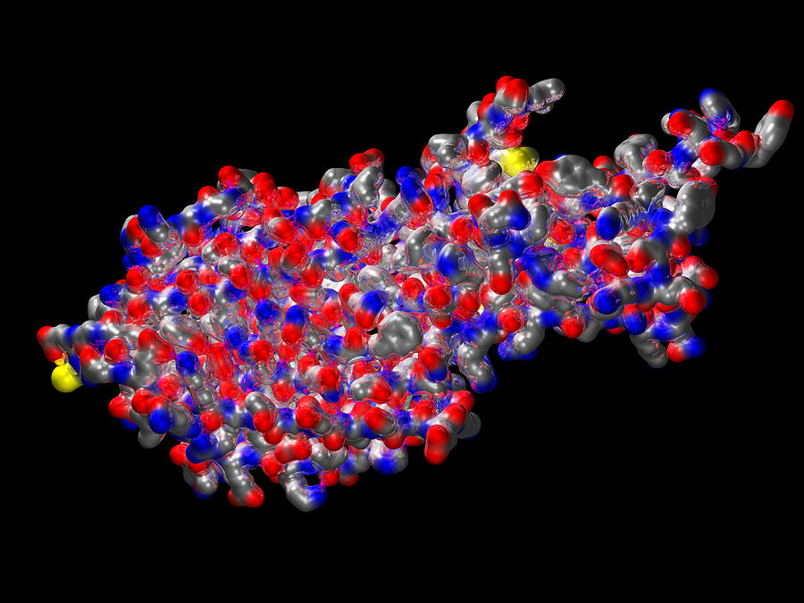 Panton-valentine Toxin Photograph by Dr Mark J. Winter