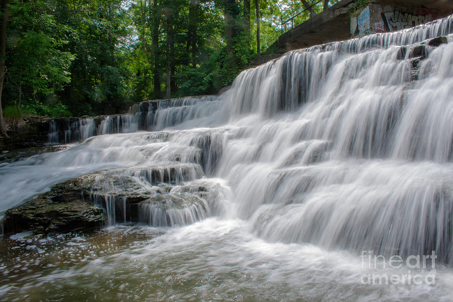 Tree Photograph - Papermill Falls by Ken Marsh
