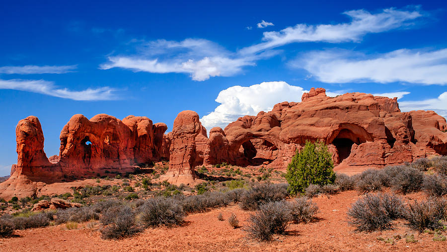Arches National Park Photograph - Parade of Elephants by Robert Bales