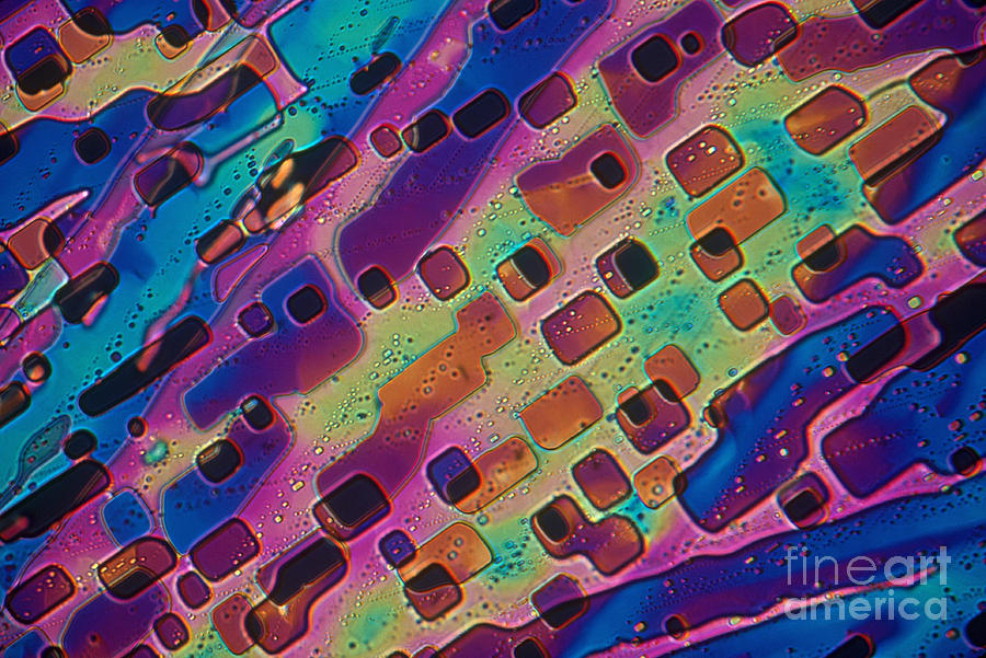 Science Photograph - Paradichlorobenzene Crystals  by Michael Abbey and Photo Researchers