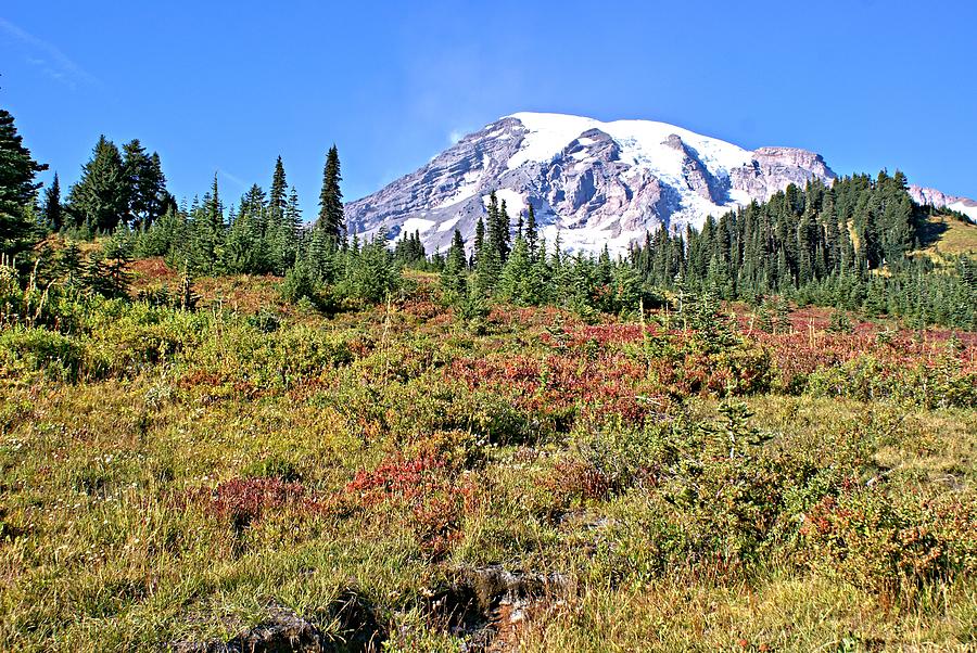 Paradise in Fall on MT. Rainier 2 Photograph by Rob Green
