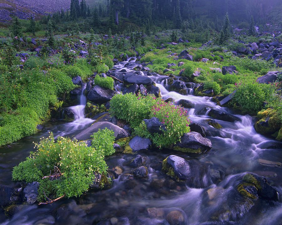 Paradise River With Wildflowers Mount Photograph by Tim Fitzharris