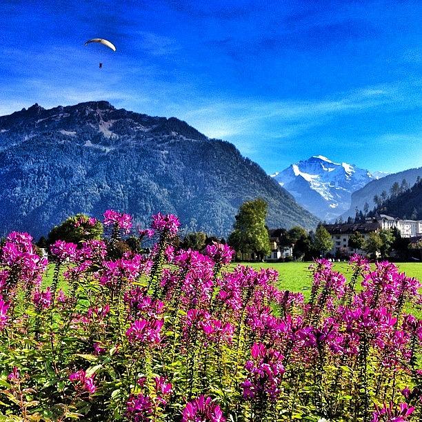 Summer Photograph - Paragliding In The Swiss #alps by Dave And Deb