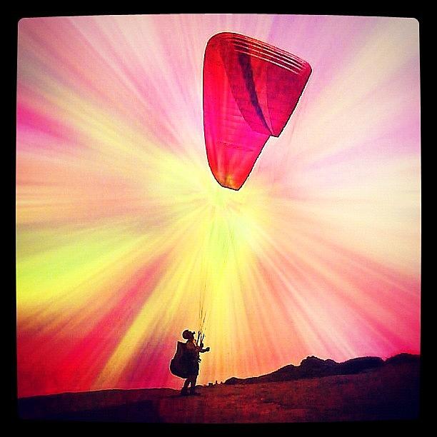 Fly Photograph - Paragliding by Monica Galante