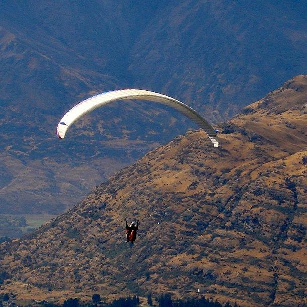 Nz Photograph - #paragliding #nz by Ashley Grant