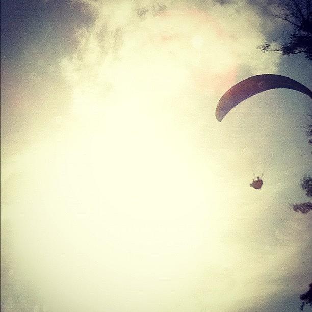 Instagram Photograph - #paragliding #sky #sun #fly #instarefa by Avatar Pics