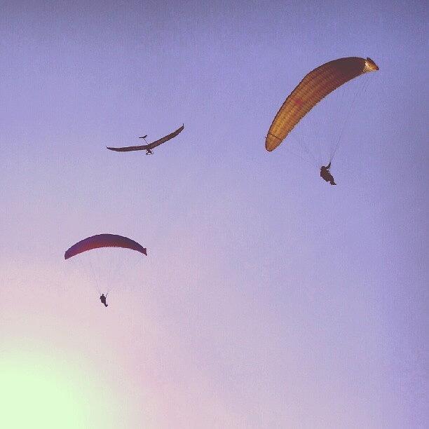 Paragliding Photograph - #paragliding #whitehorsewestbury by Andrew Staffer