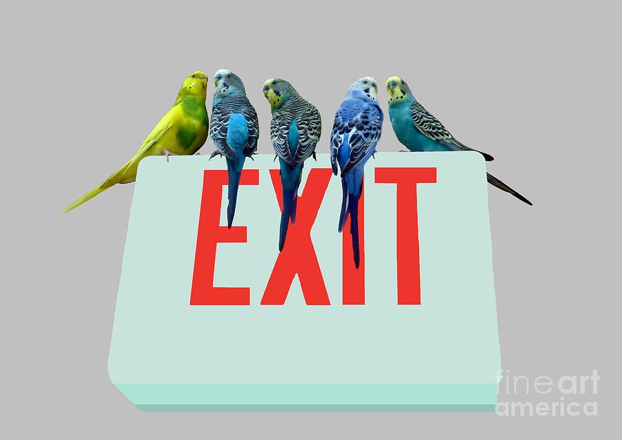 Parakeets . EXIT Digital Art by Renee Trenholm