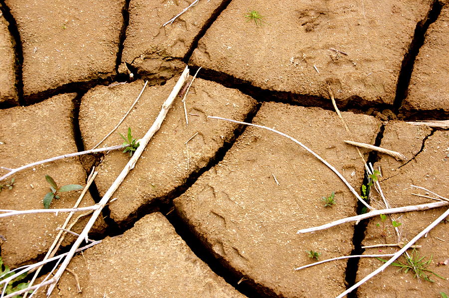 Parched Earth Photograph by Jeff Lowe