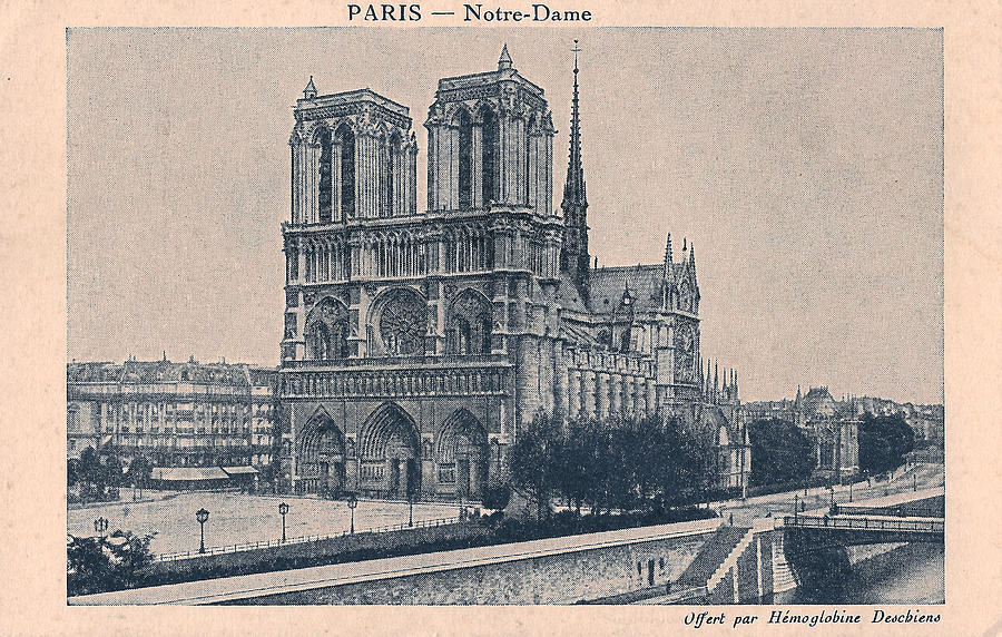 Paris - Notre Dame Digital Art by Georgia Clare