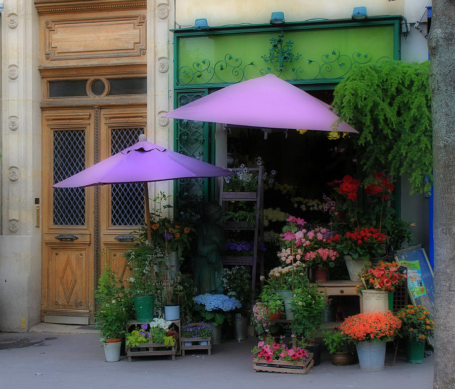 Paris Flower Shop Photograph by Andrew Fare