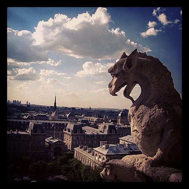 Paris From Atop Notre Dame. *love* Photograph by Stephanie Tomlinson
