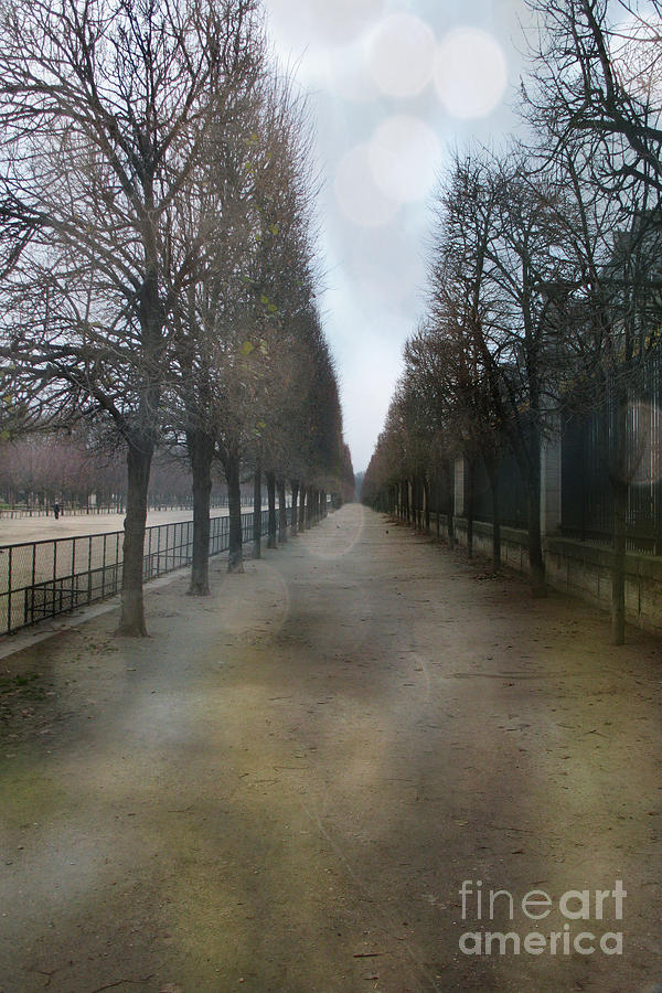 Paris Landmarks Photograph - Paris Nature - The Tuileries Row Of Trees  by Kathy Fornal