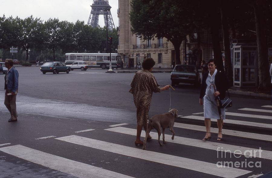 Parisian Crosswalk Photograph by Richard Amble