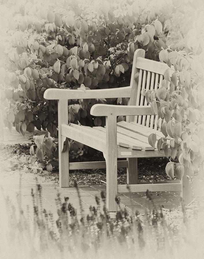 Park Bench Photograph by Bill Barber