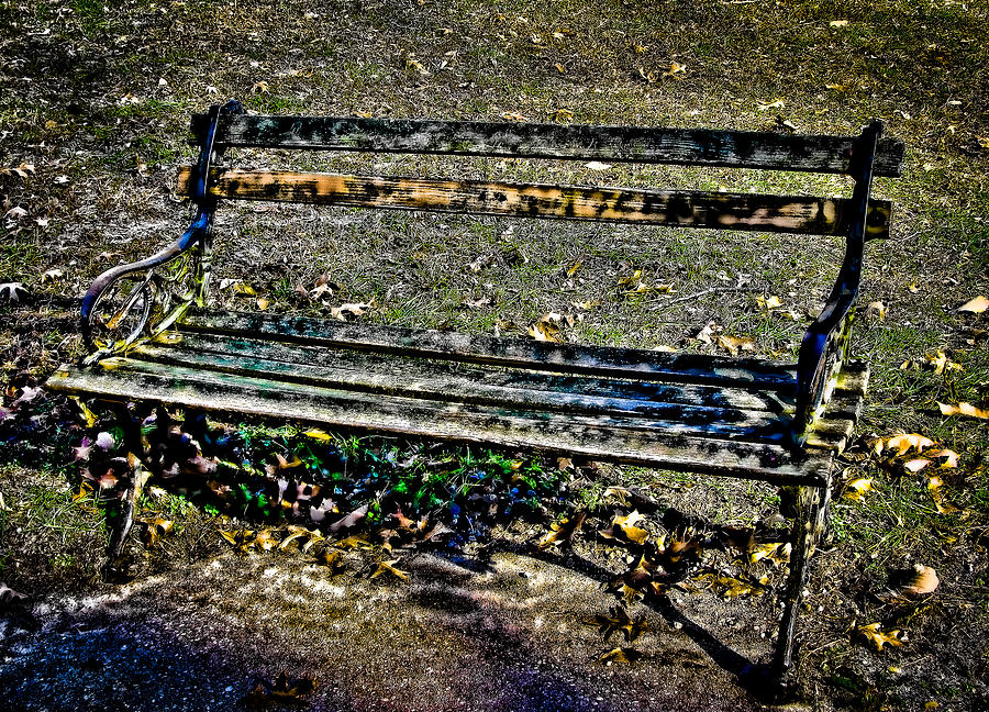 Park Bench Photograph by Colleen Kammerer