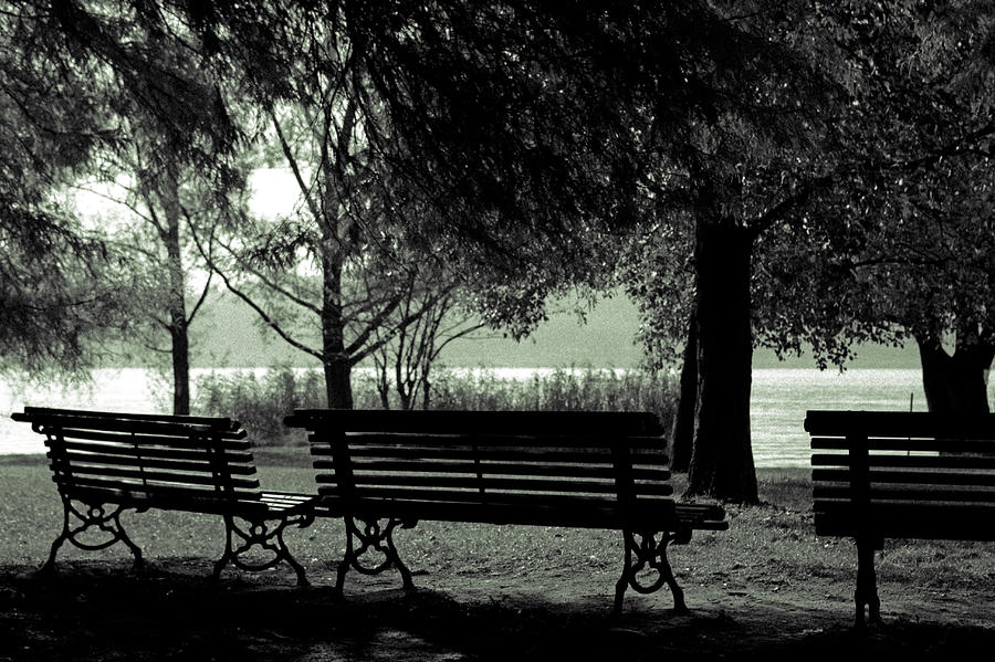 Autumn Photograph - Park Benches In Autumn by Joana Kruse Autumn Photograph - Park Benches In Autumn by Joana Kruse