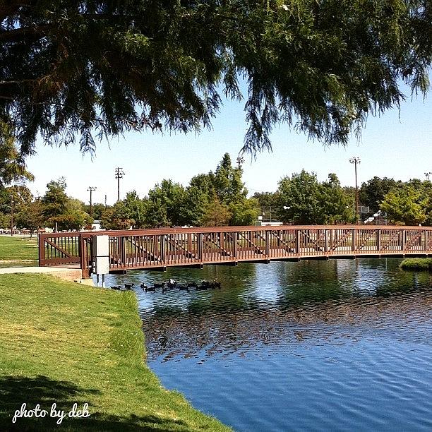 Summer Photograph - #park #bridge #lake #pond #reflection by Deb Lew