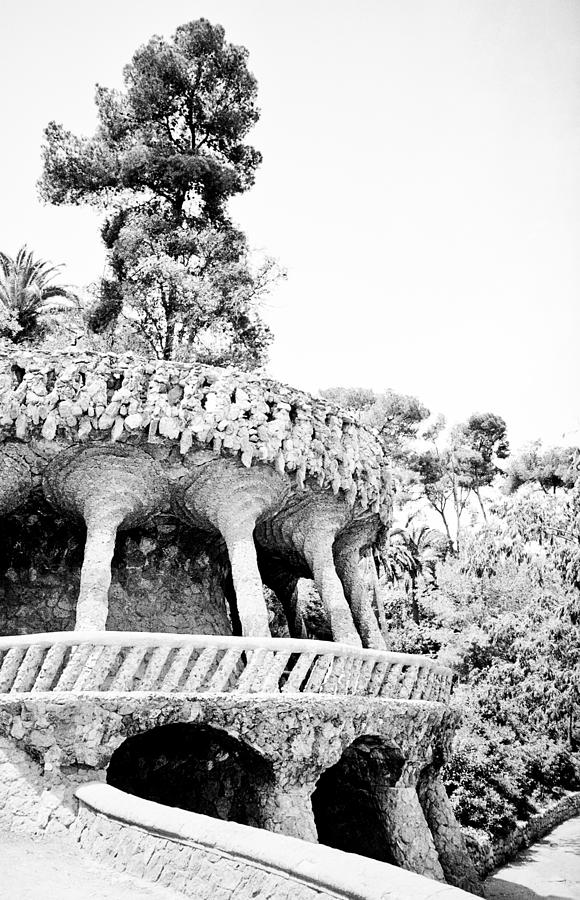 Park Guell Twists Photograph by Lenny Carter