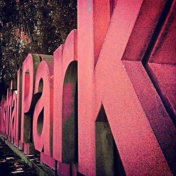Park In Big Block Letters Photograph by Earl Ryan
