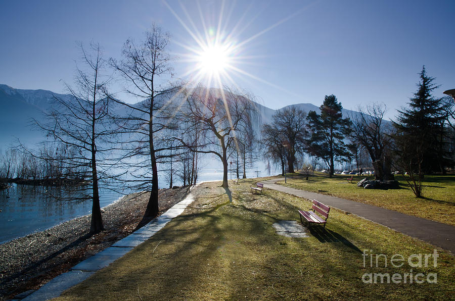 Park on the lakefront Photograph by Mats Silvan
