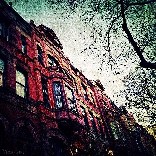 Architecture Photograph - Park Slope Brownstones by Natasha Marco