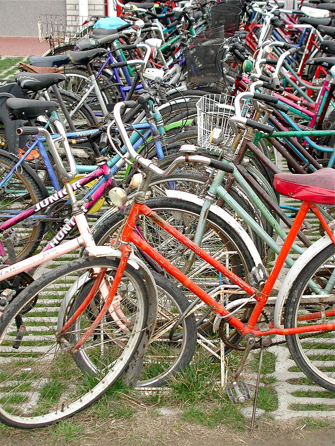 Parking Bicycles in Mako Photograph by Anna Ruzsan