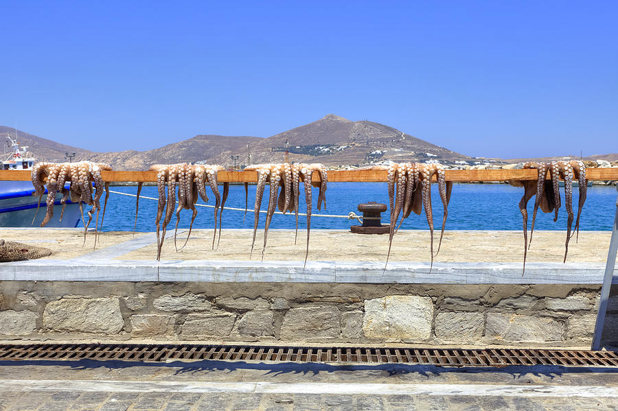 Paros - Cyclades - Greece Photograph by Joana Kruse