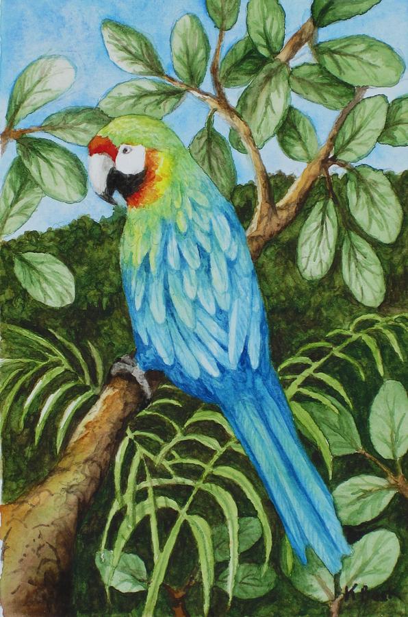 Parrot Painting by Katherine Young-Beck