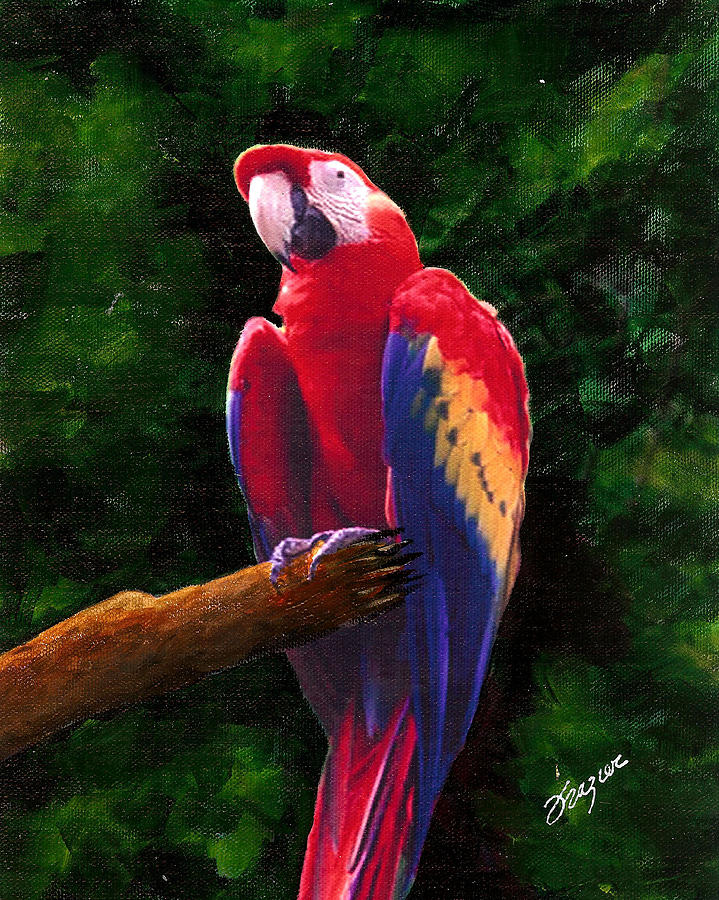 Parrot on a limb Painting by Larry Frazier - Fine Art America