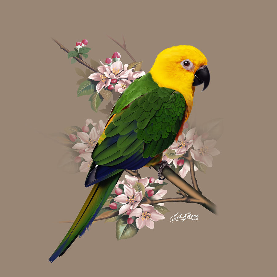 Parrot Mixed Media - Parrot by Satish Verma