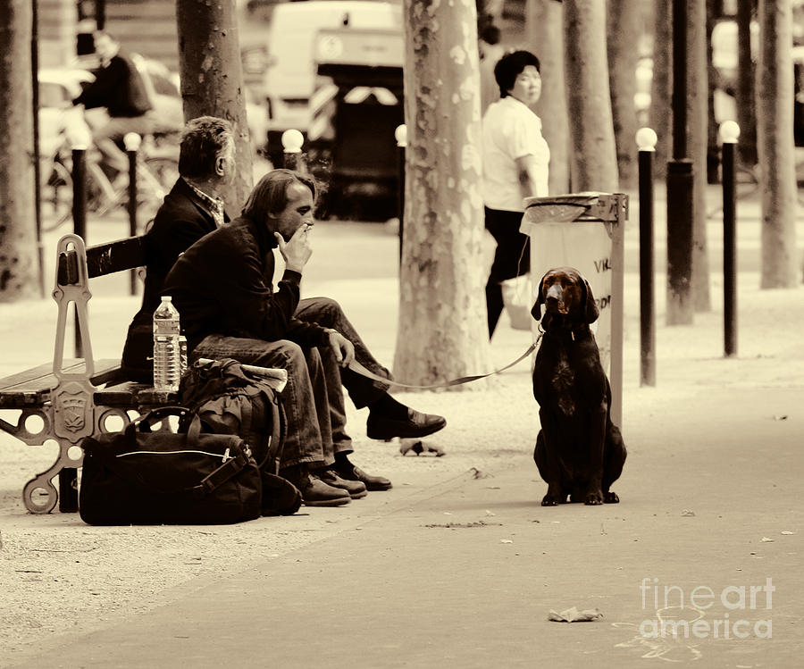 Paris Photograph - Partners Man Dog by Chuck Kuhn