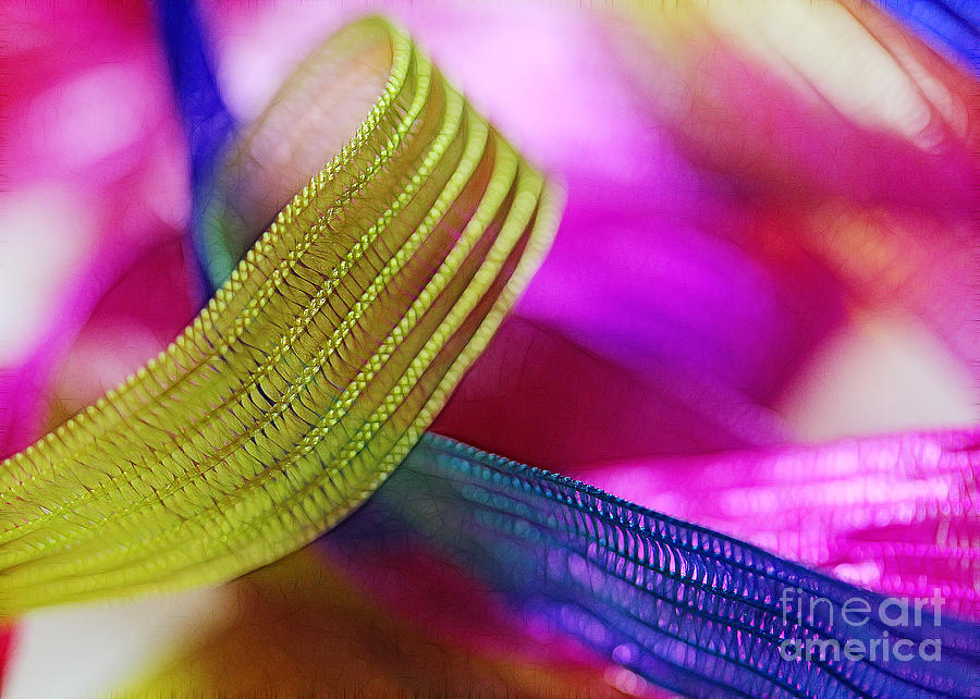 Party Ribbons Photograph by Judi Bagwell