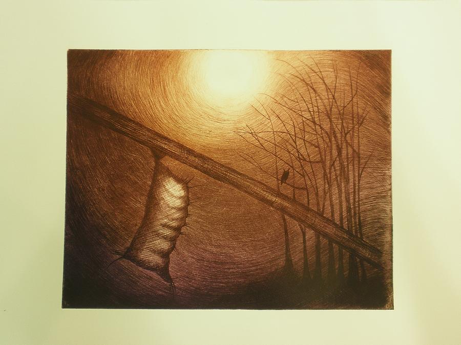 Owl Drawing - Passage to Pupate II by Beth Dennis