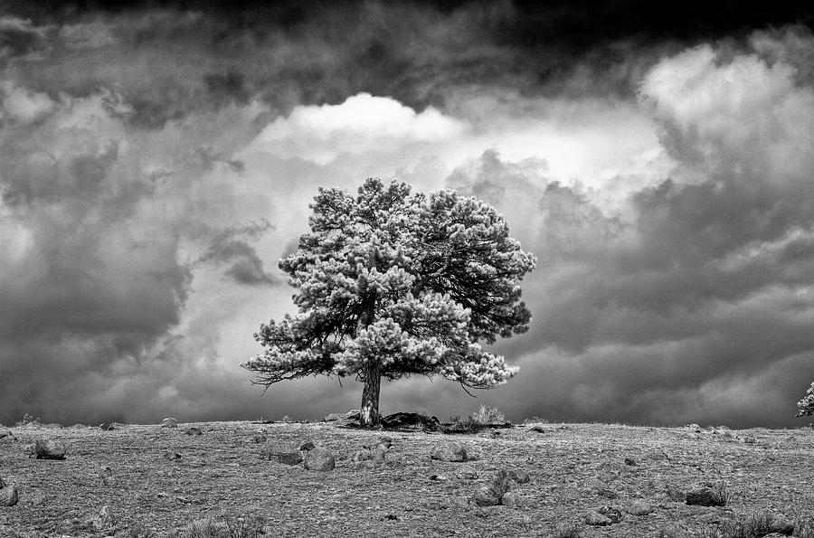 Landscape Photograph - Passing Storm by G Wigler
